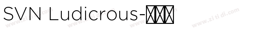 SVN Ludicrous字体转换